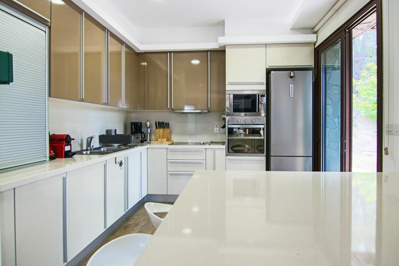 Phaedrus Living: Forest View Luxury Villa Chantara Foini Dış mekan fotoğraf