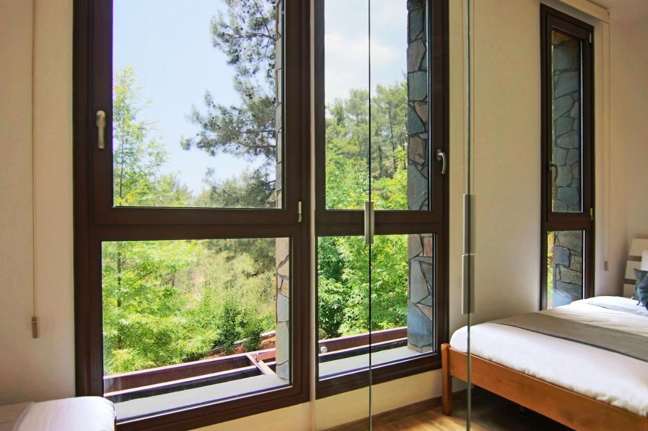Phaedrus Living: Forest View Luxury Villa Chantara Foini Dış mekan fotoğraf
